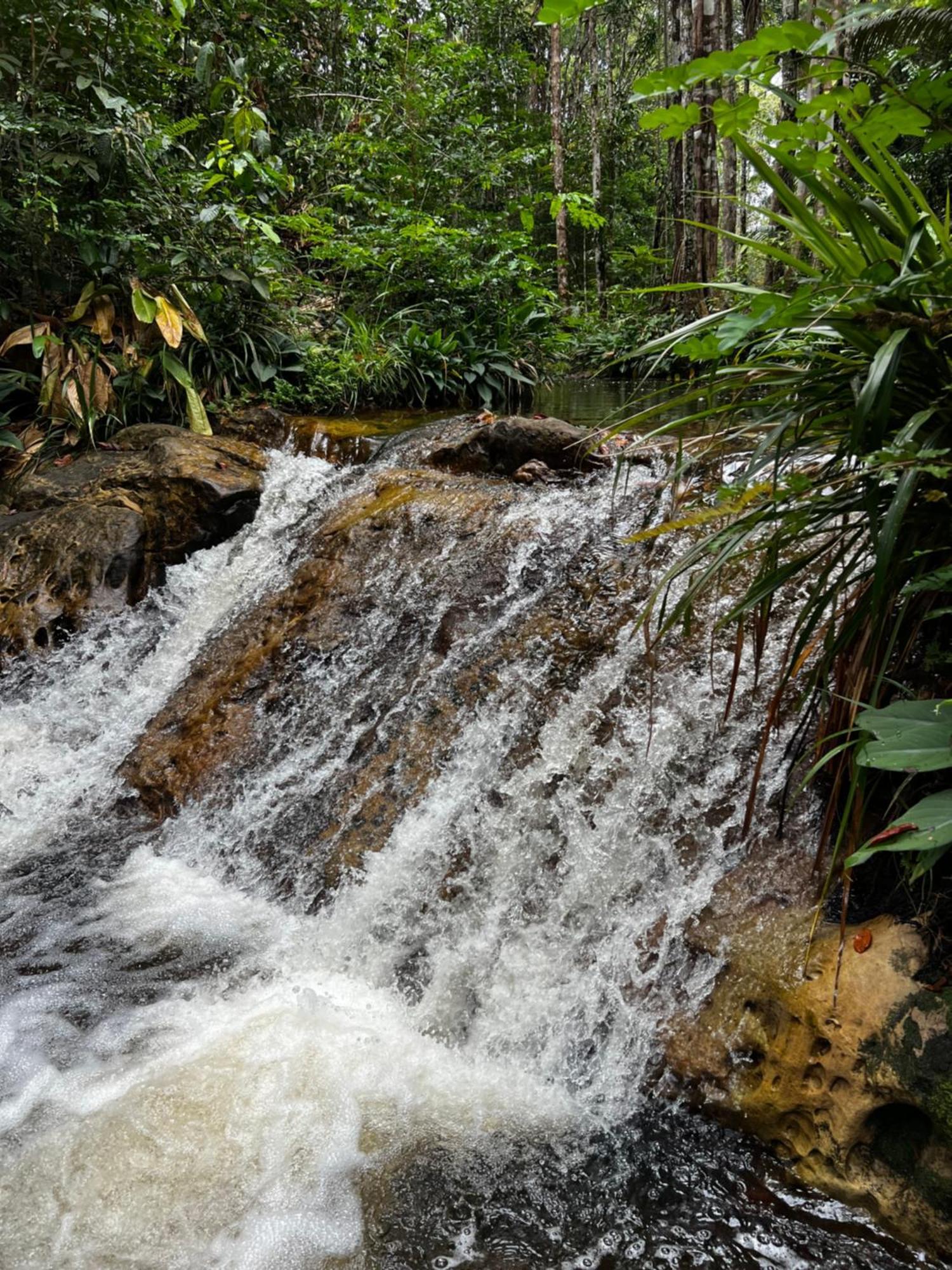 Pousada Paraiso Do Calango Azul Presidente Figueiredo Dış mekan fotoğraf