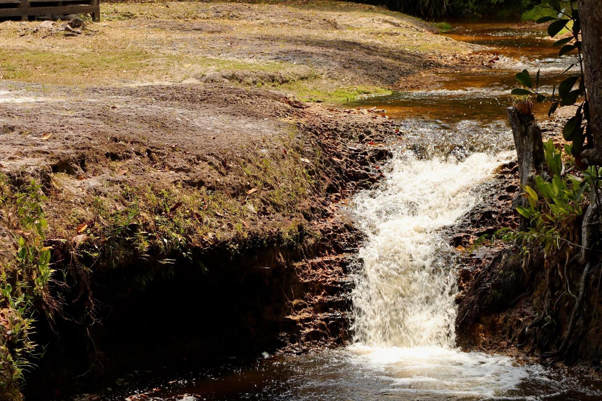 Pousada Paraiso Do Calango Azul Presidente Figueiredo Dış mekan fotoğraf