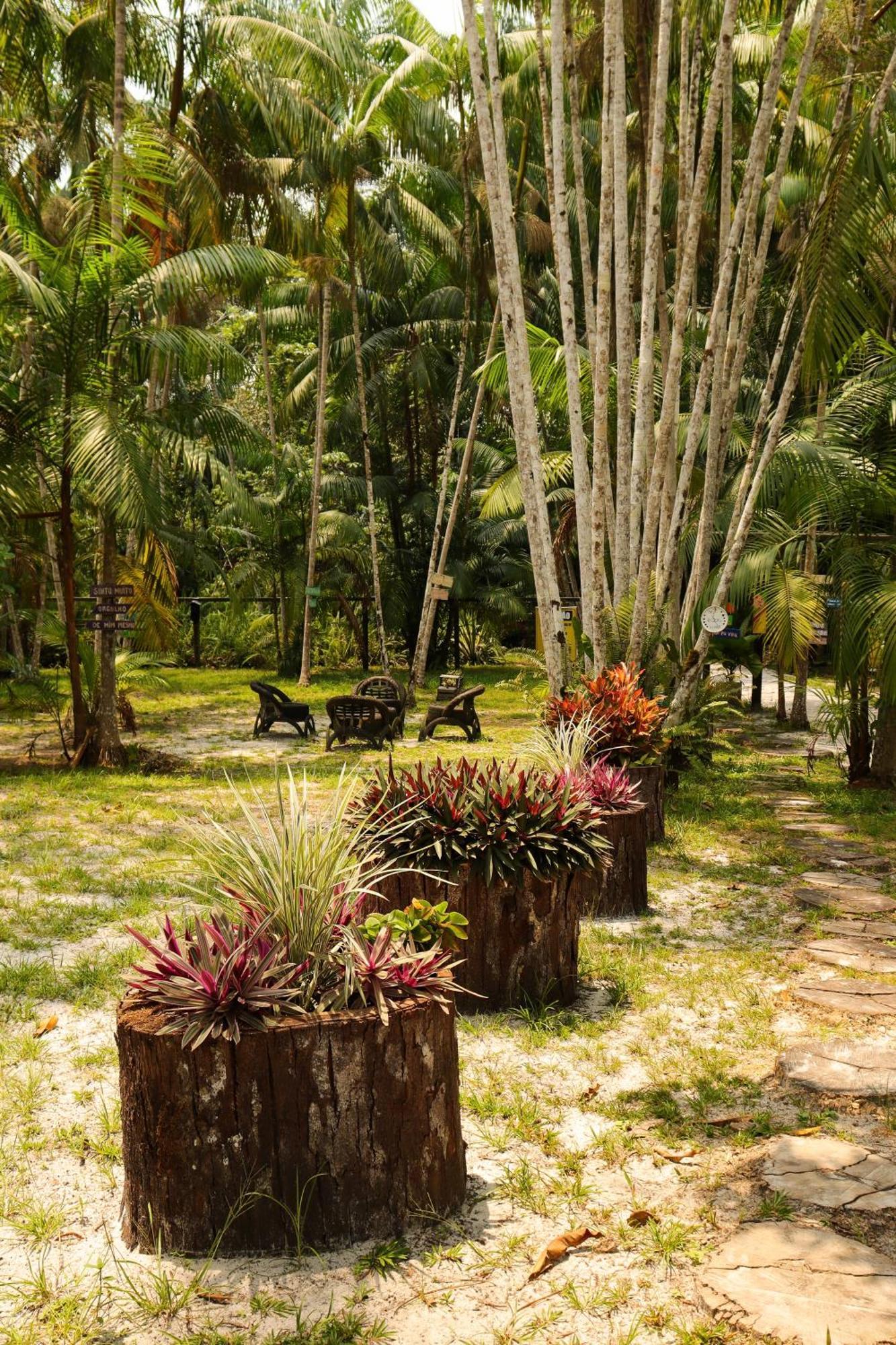 Pousada Paraiso Do Calango Azul Presidente Figueiredo Dış mekan fotoğraf
